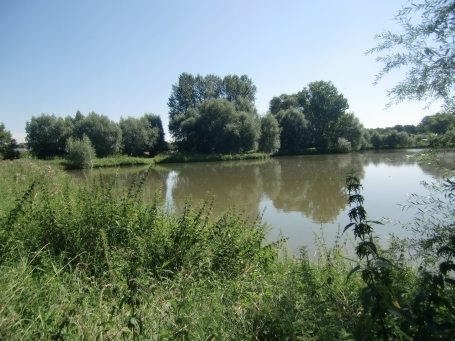 Moers-Schwafheim : Schwafheimer Weg, Naturschutzgebiet Schwafheimer Meer